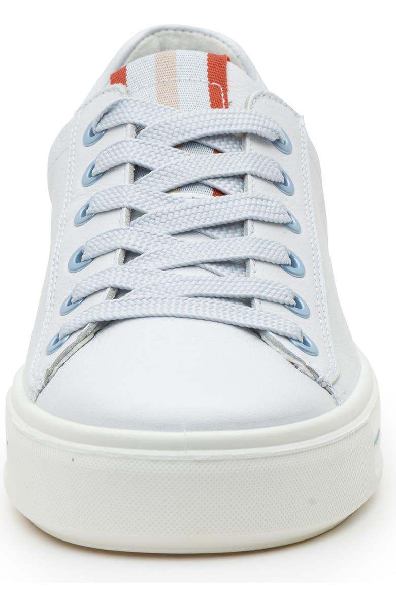 ara Camden Sneaker, Alternate, color, White Cervocalf
