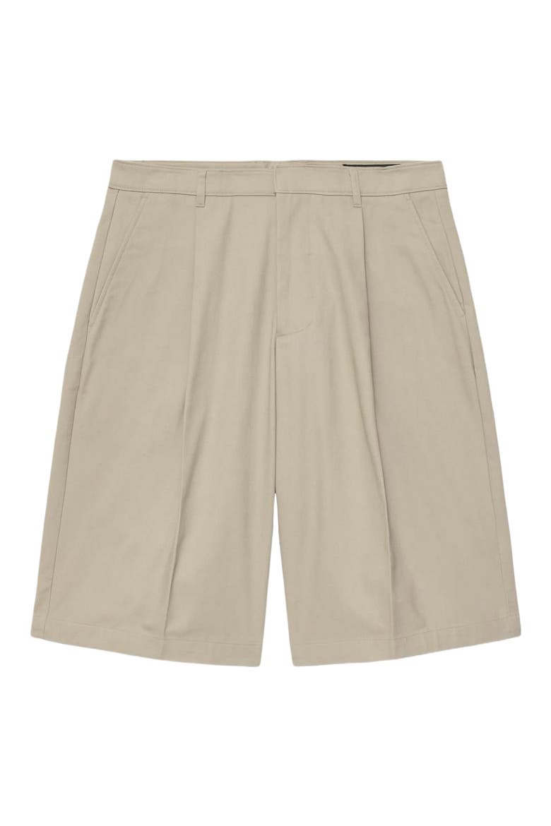 Castro Pleated Cotton Shorts, Alternate, color, PASILLA BROWN