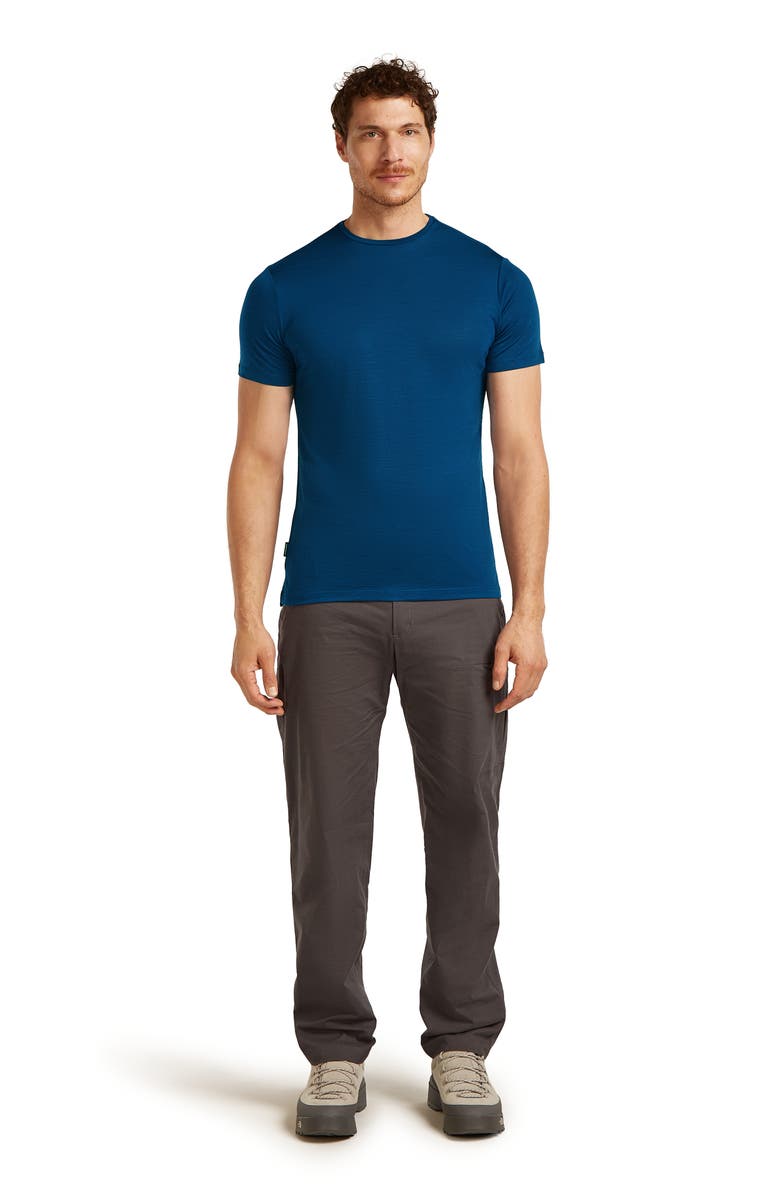 Icebreaker Merino 125 Cool-Lite<sup>™</sup> Sphere T-Shirt, Alternate, color, Atlantis