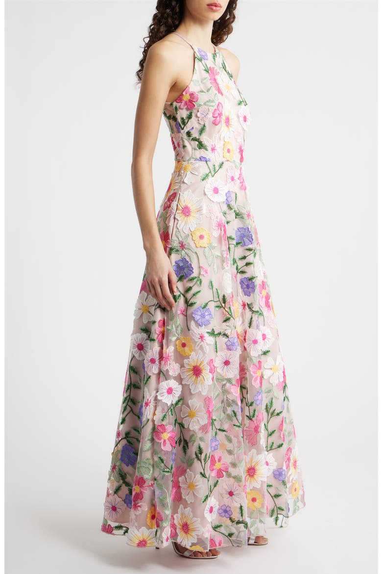 Embroidered Sleeveless Gown, Alternate, color, BLUSH MULTI
