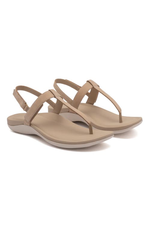 Abeo Oasis T Strap Sandal In Sand - Regular