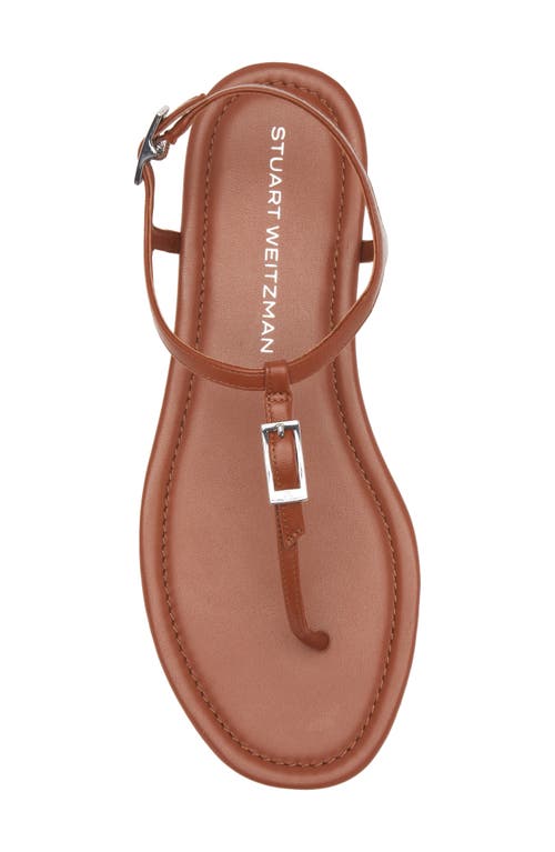 Stuart Weitzman Georgie T-strap Sandal In Bridle Brown