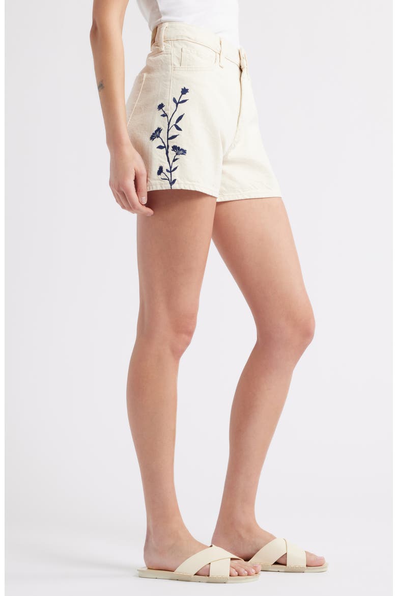 Heidi Floral Print Denim Shorts, Alternate, color, BEIGE DENIM