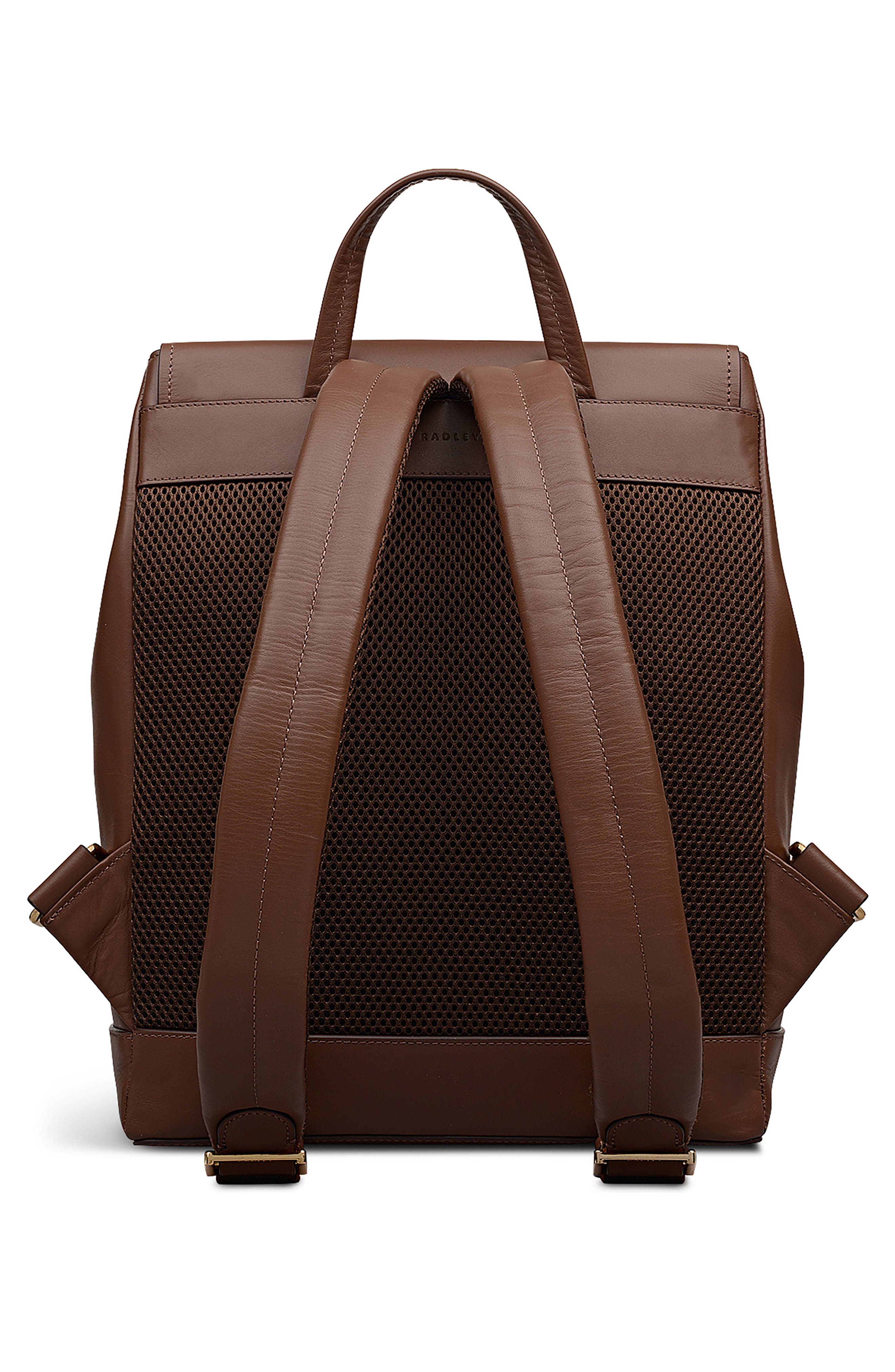 Radley Albion Street Leather Backpack, Alternate, color, Chocolate
