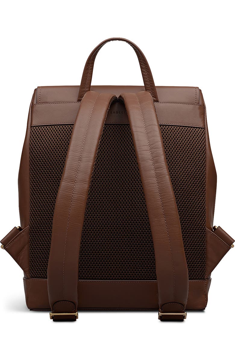 Radley Albion Street Leather Backpack, Alternate, color, Chocolate