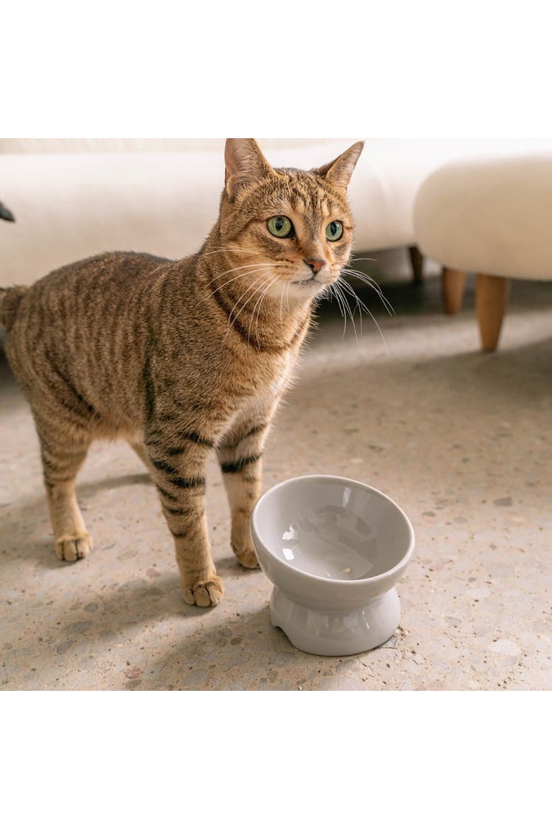 Elevated Ceramic Cat Bowl, Grey, 7oz, Alternate, color, Gray