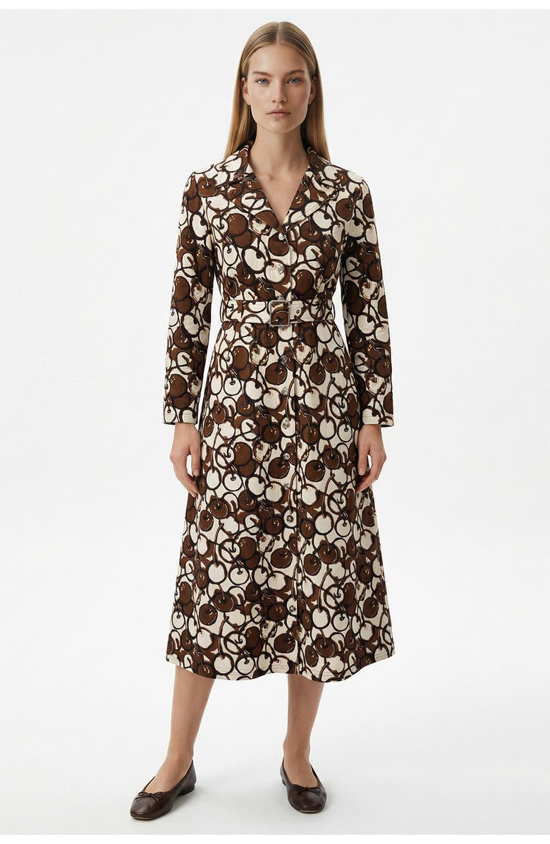 Exquise Long Sleeve Fitted Button-Front Maxi Dress, Main, color, Brown-Beige