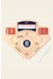  Detroit Tigers