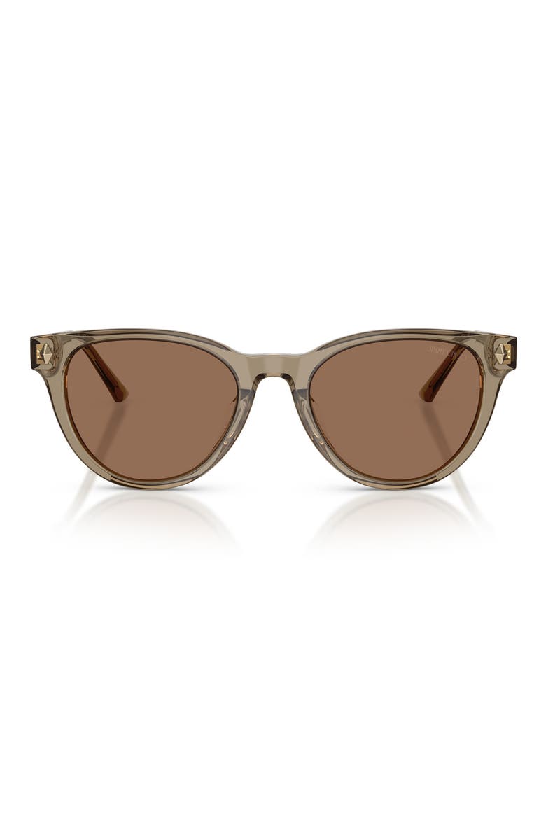 Trace 53mm Phantos Sunglasses, Main, color, TRANSPARENT BROWN / DARK BROWN