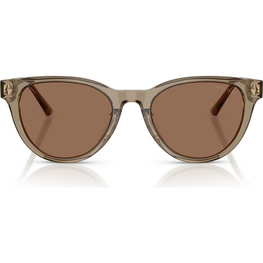 Jimmy Choo Trace 53mm Phantos Sunglasses