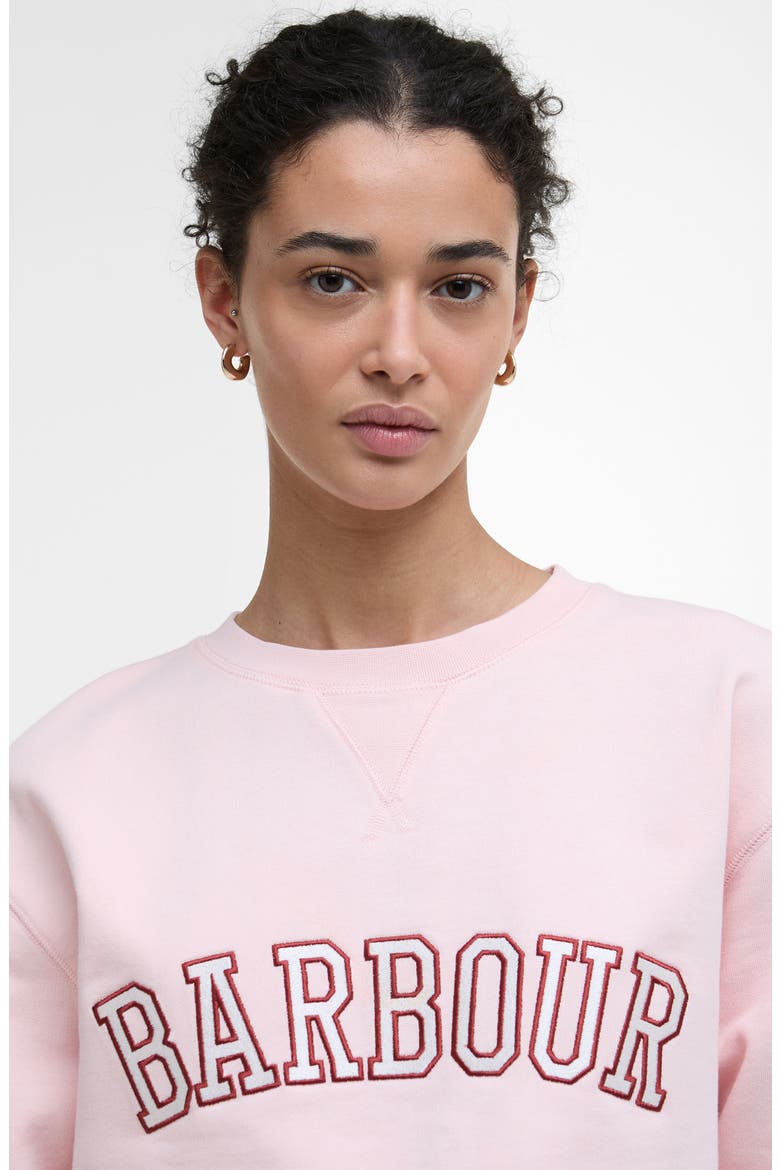 Northumberland Graphic Sweatshirt, Alternate, color, PINK BLUSH