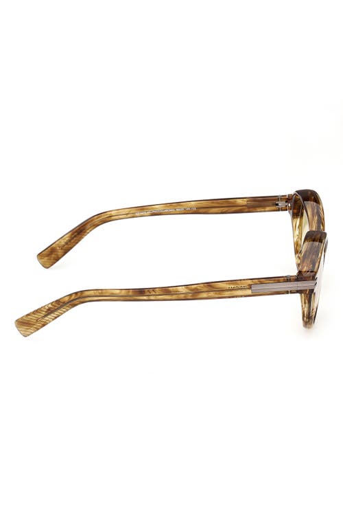 Zegna 50mm Round Polarized Sunglasses In Shiny Transparent Havana