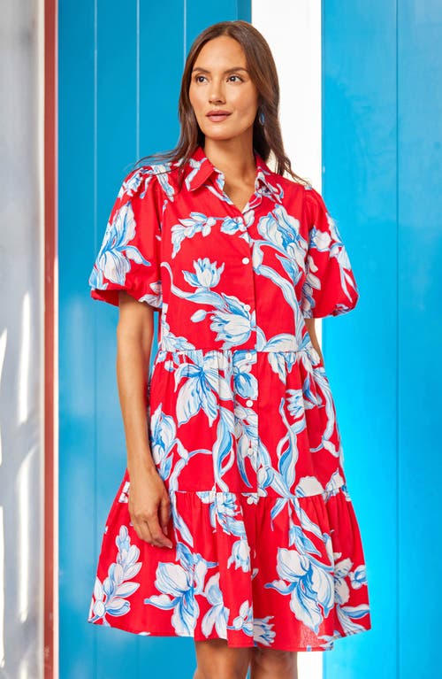 Karen Kane Tiered Puff Sleeve A-line Dress In Print