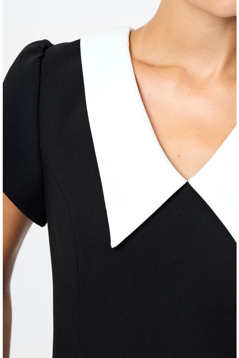 Azra Oversize Collar Top, Alternate, color, BLACK-WHITE