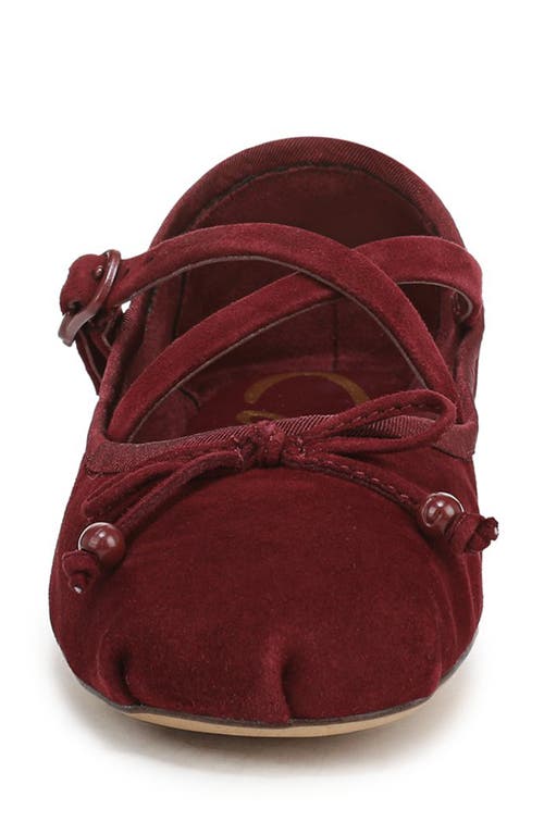 Circus Ny By Sam Edelman Zuri Strappy Ballet Flat In Burgundy