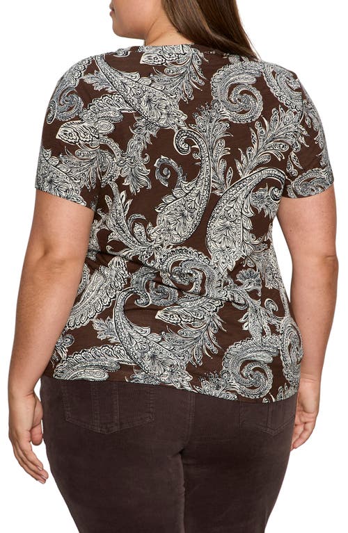 Sanctuary The Perfect T-shirt In Brown