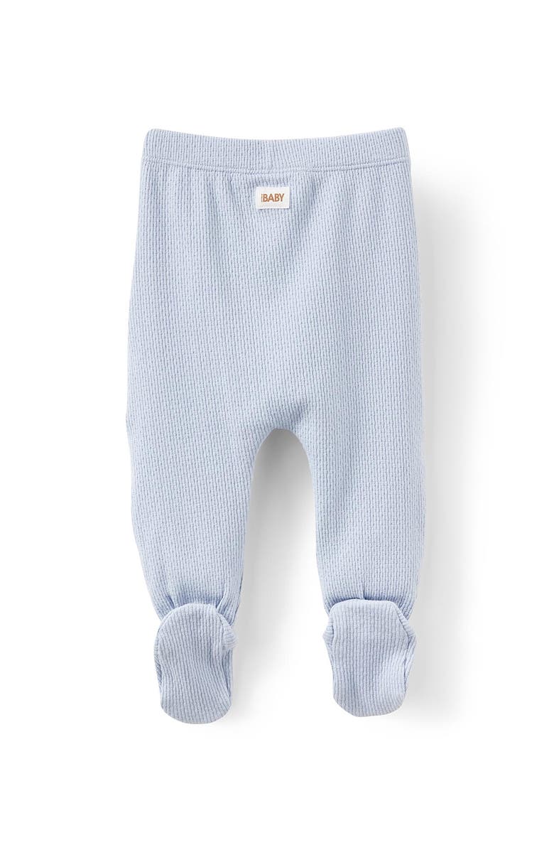 Cotton On Kids Organic Pointelle Legging, Alternate, color, Periwinkle
