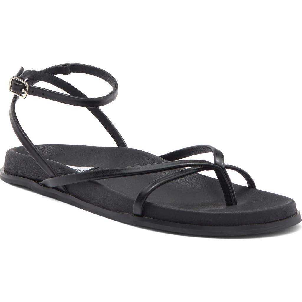 Steve Madden Lennee Sandal In Black