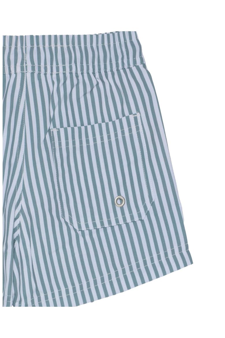 Beach Scout Drawstring Swim Shorts, Alternate, color, White-Green