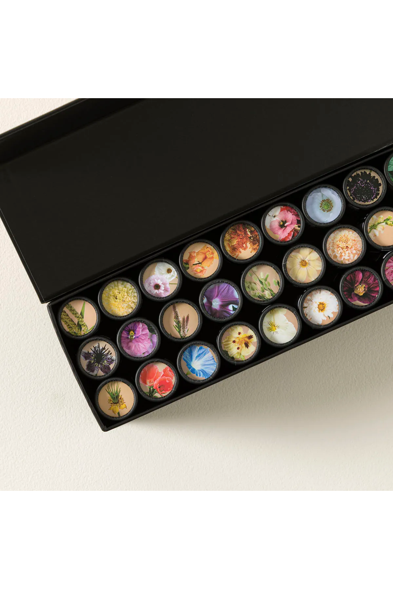 Flower Garden in a Box by Plantgem, Alternate, color, Set of 36