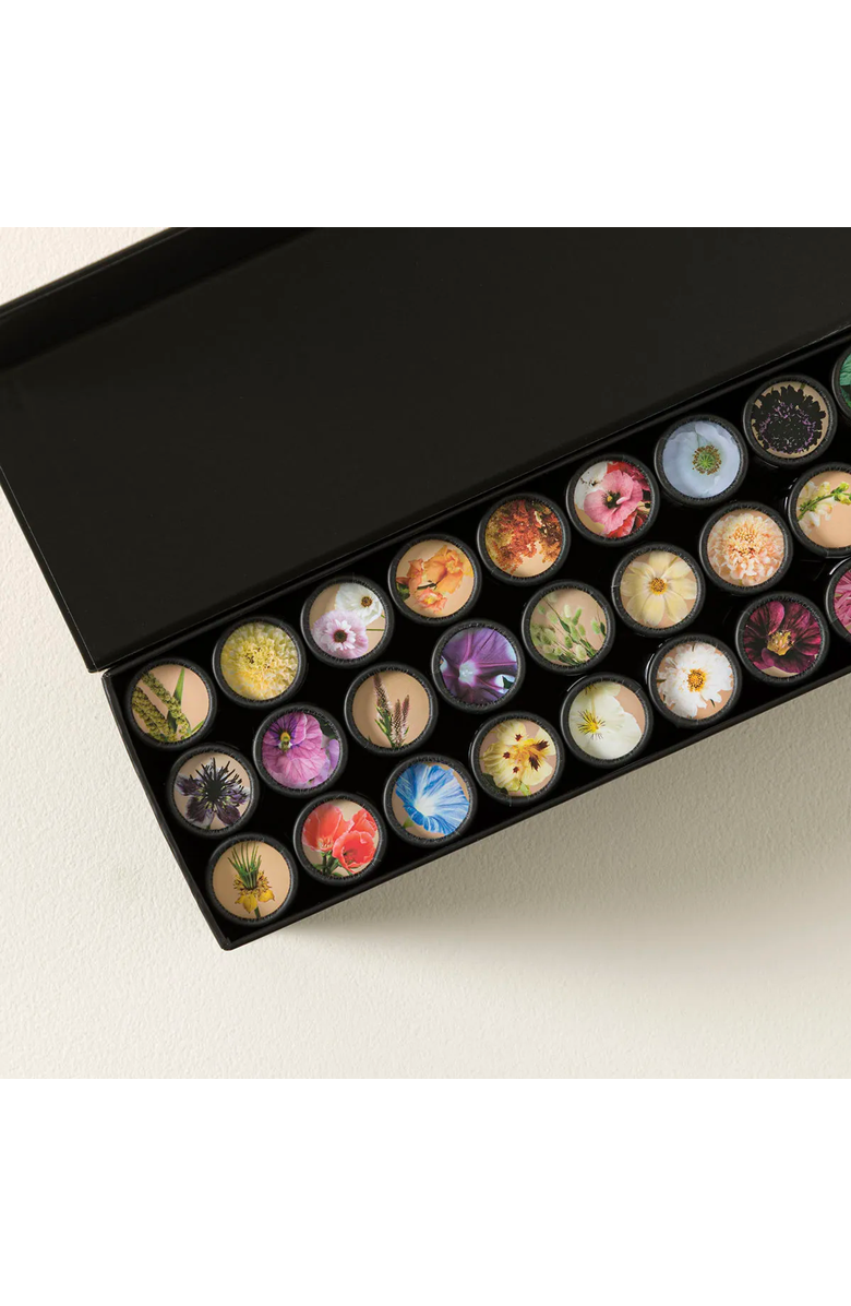 Uncommon Goods Flower Garden in a Box by Plantgem, Alternate, color, Set Of 36