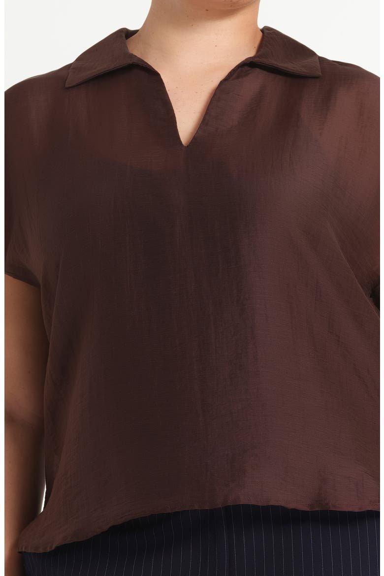 Kelly Sheer Top, Alternate, color, CHOCOLATE