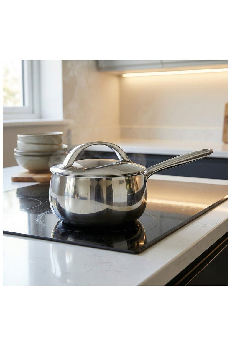 Stellar Belly Tri-Ply Stainless Steel Saucepan & Lid, Alternate, color, STELLAR