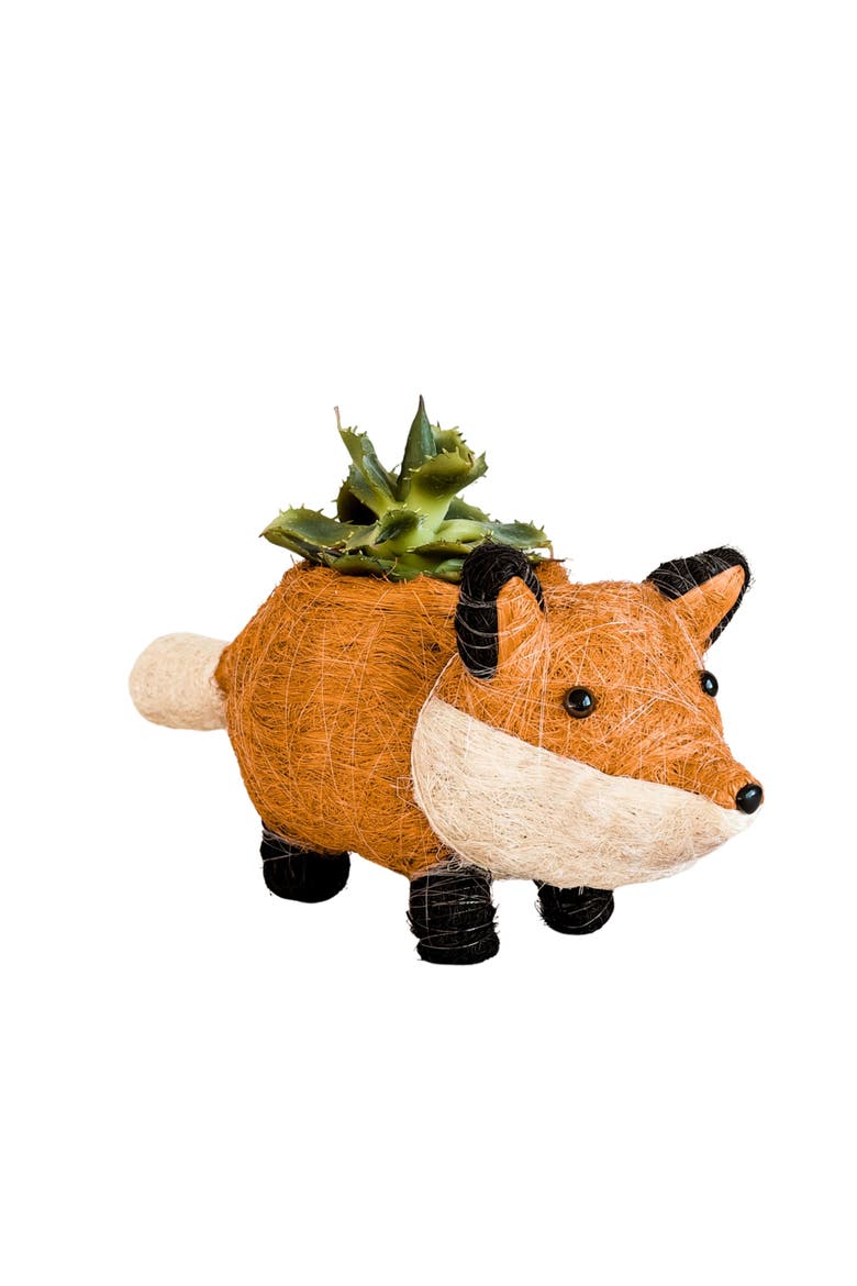 Woodland Animal Coco Coir Planters, Main, color, Orange