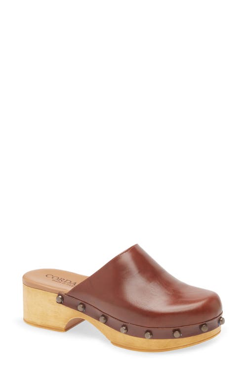 Cordani Wilka Platform Mule in Cognac Leather at Nordstrom, Size 38