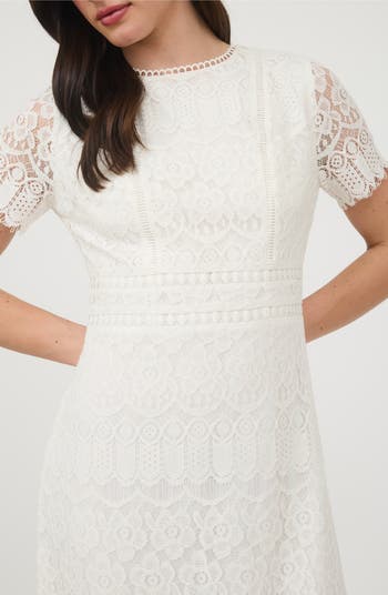 Scalloped Lace Midi Dress