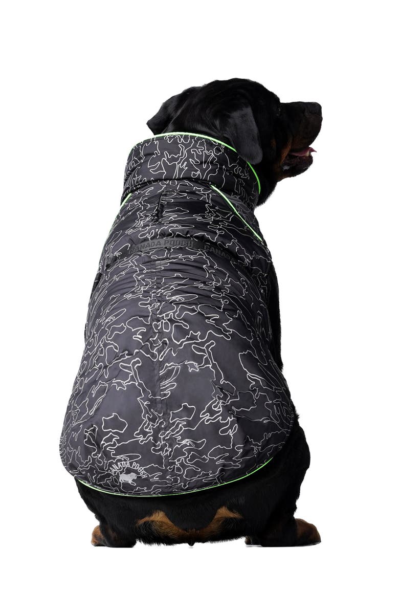 Canada Pooch The Expedition 2.0 Water Resistant Coat, Alternate, color,