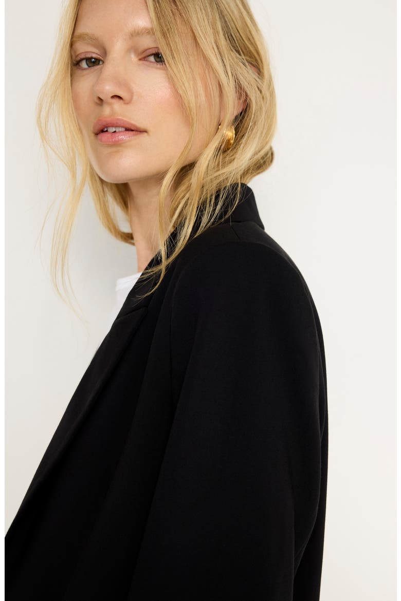 Oversize Suiting Blazer, Alternate, color, BLACK001