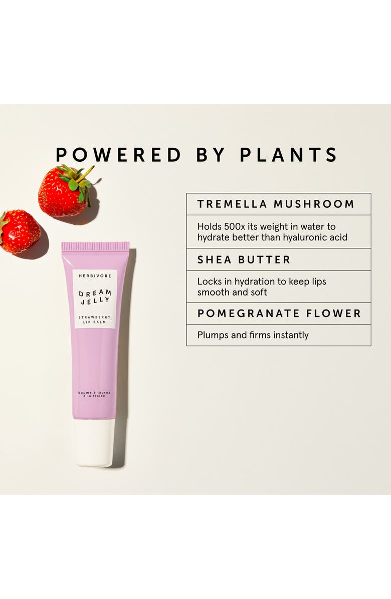 Herbivore Botanicals Dream Jelly Strawberry Lip Balm, Alternate, color, 