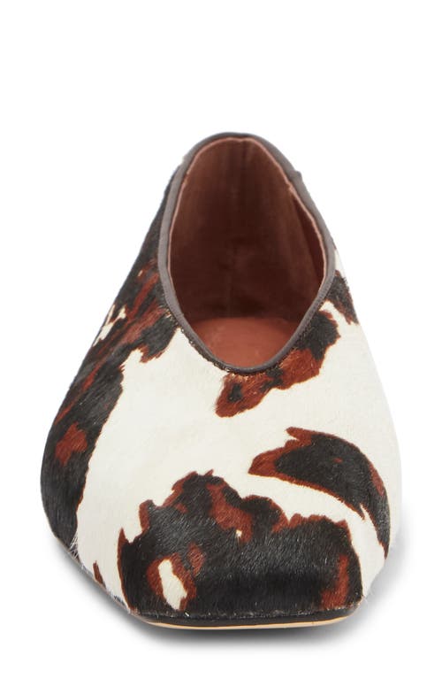 Tony Bianco Bayley Genuine Calf Hair Ballet Flat In Ivory Multi Pony