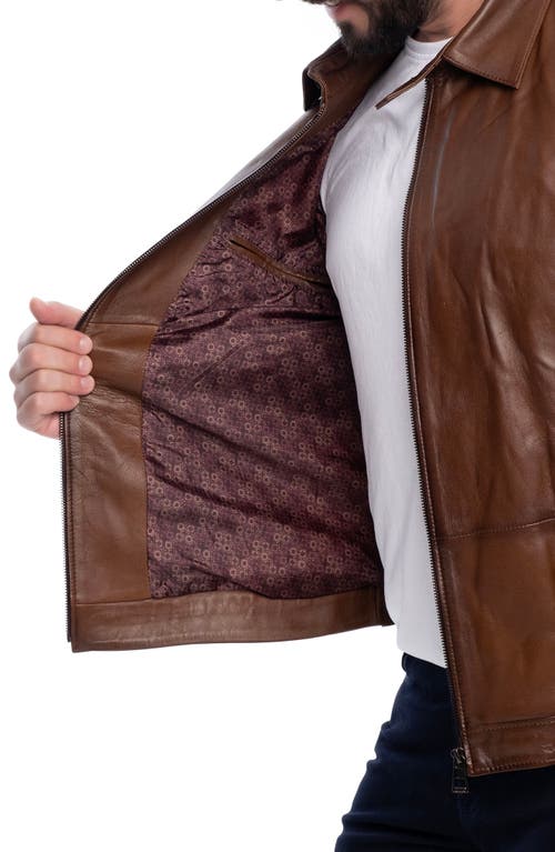 Vellapais Smooth Leather Jacket In Brown