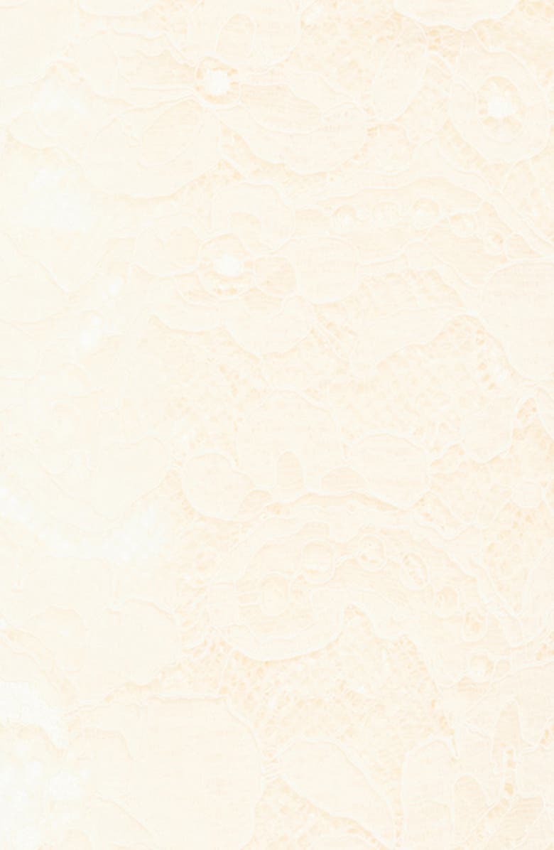 Valentino Garavani Floral Lace Knee High Socks, Alternate, color, Betulla