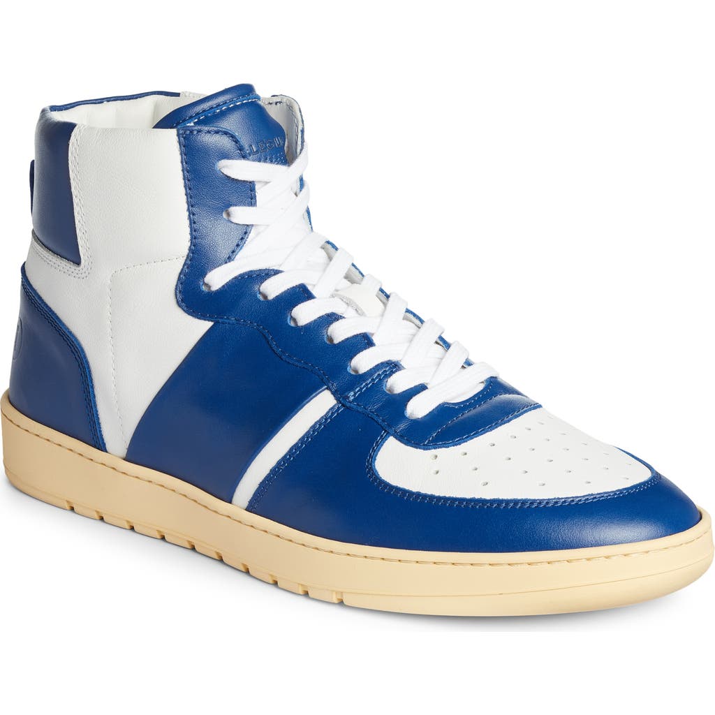 Collegium Pillar Destroyer High Top Sneaker In Blue
