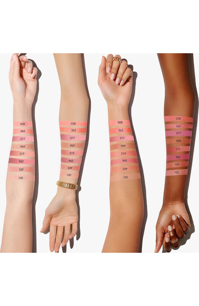DIOR Rouge Powder Blush, Alternate, color, 100 Nude Look / Matte