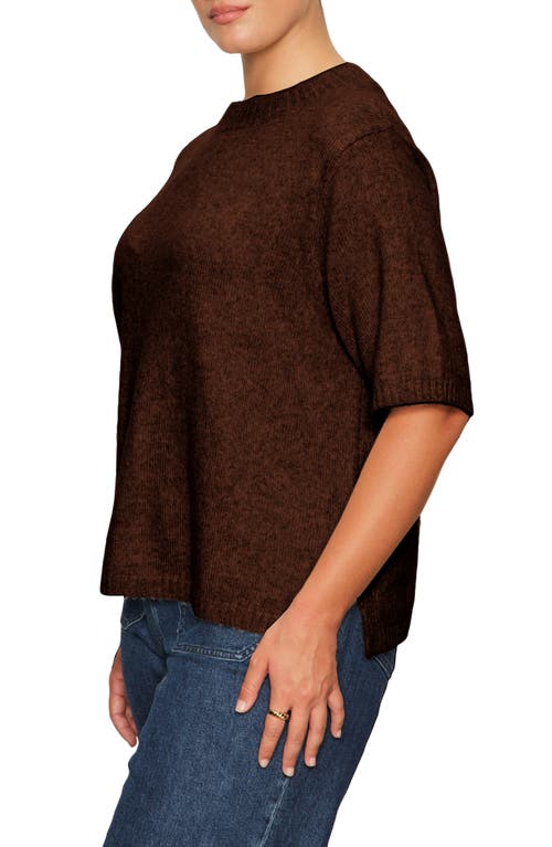 Sanctuary Perfect Sweater Tee In Brown