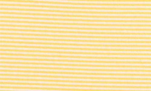 Lioness In Bloom Stripe Baby Tee In Butter Stripe