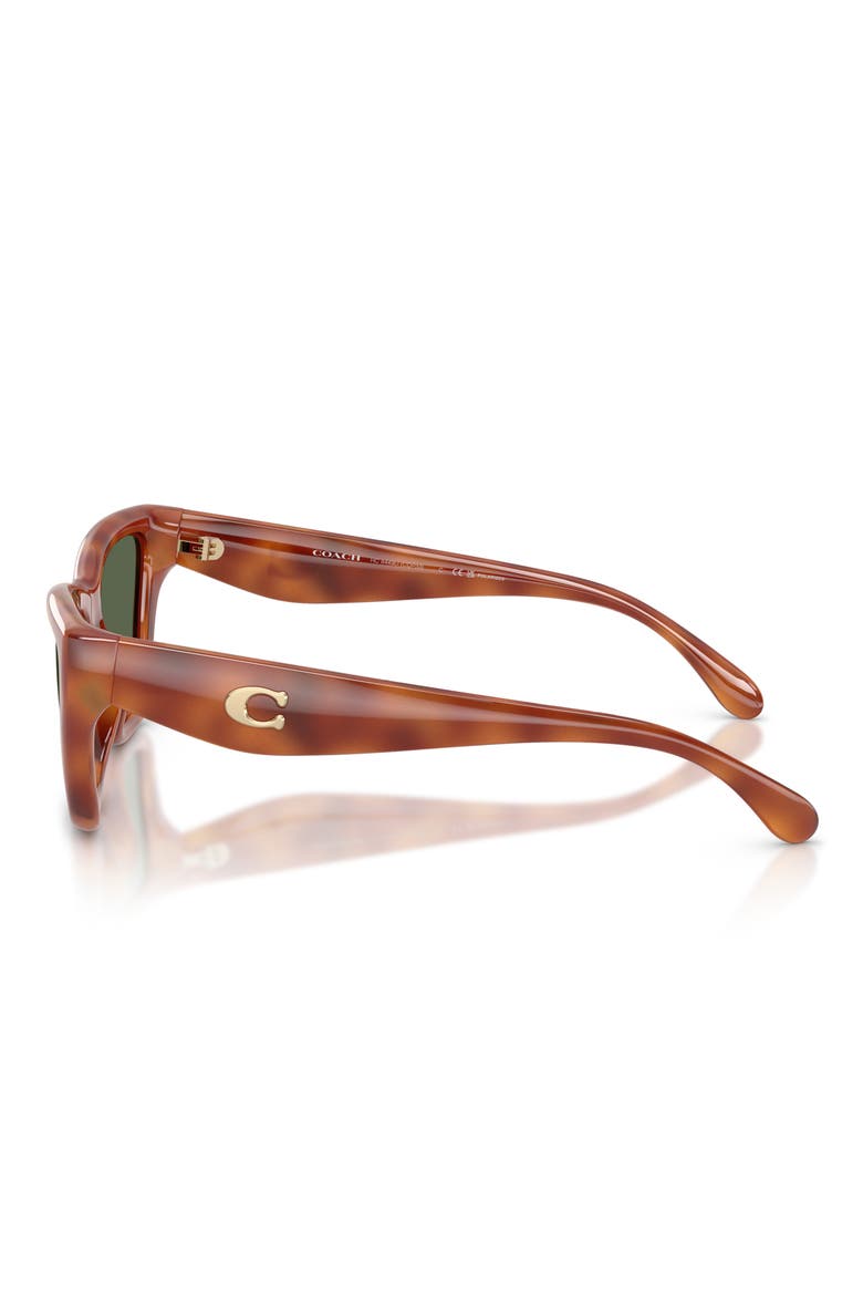 56mm Polarized Cat Eye Sunglasses, Alternate, color, CARAMEL TORTOISE / GREEN POLAR
