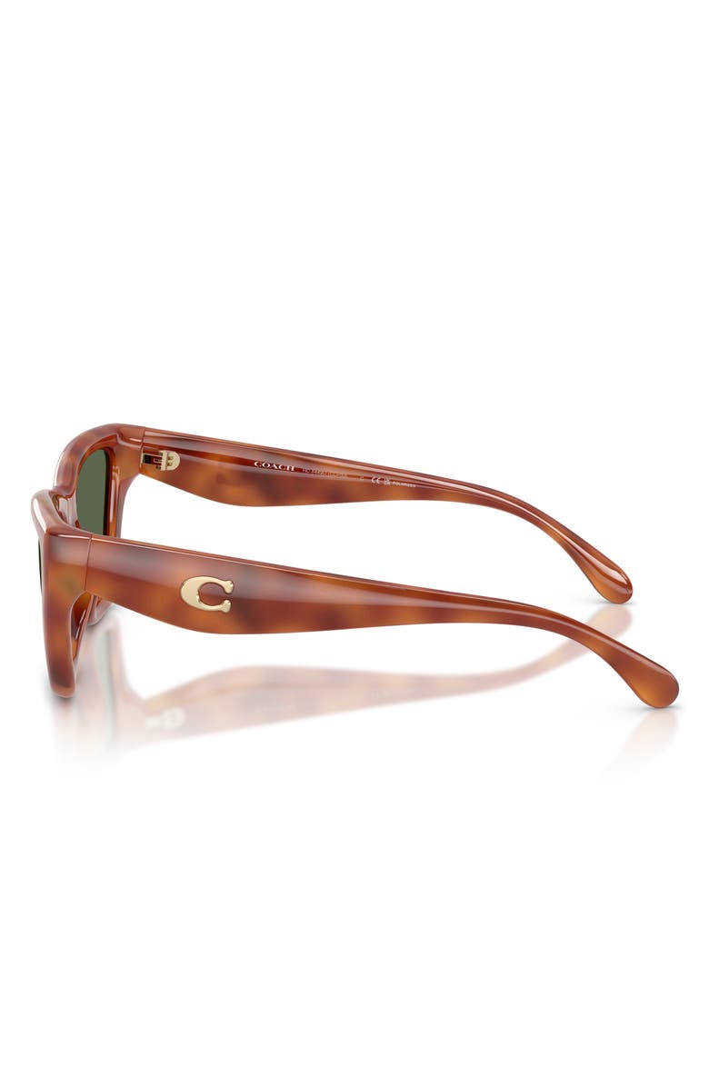 COACH 56mm Polarized Cat Eye Sunglasses, Alternate, color, Caramel Tortoise / Green Polar