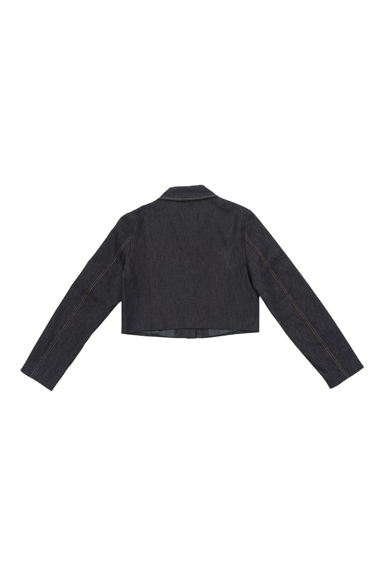 Patrick Crop Denim Jacket, Alternate, color, RINSE WASH