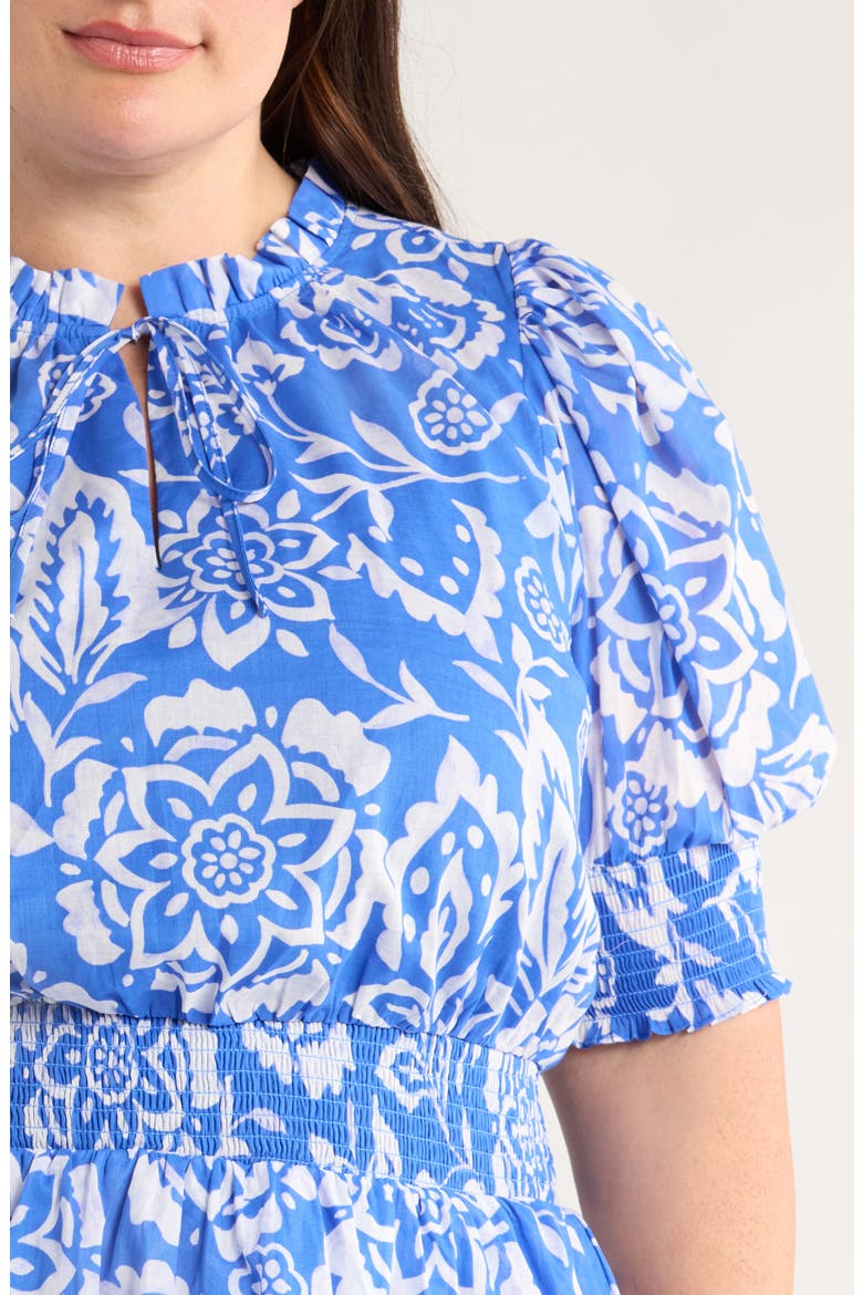 Marny Floral Rai Ruffle Cotton Dress, Alternate, color, BLUE/ WHITE
