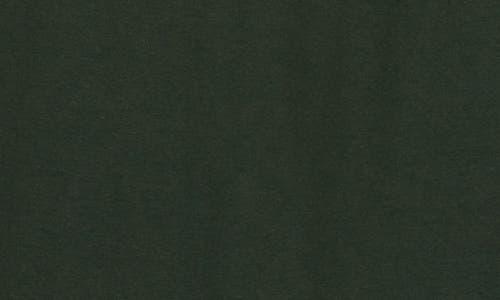 VANS VANS CLASSIC COTTON CREW TEE
