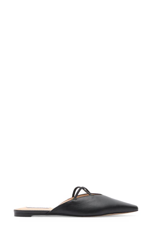 Steve Madden Pammie Mule In Black Leather