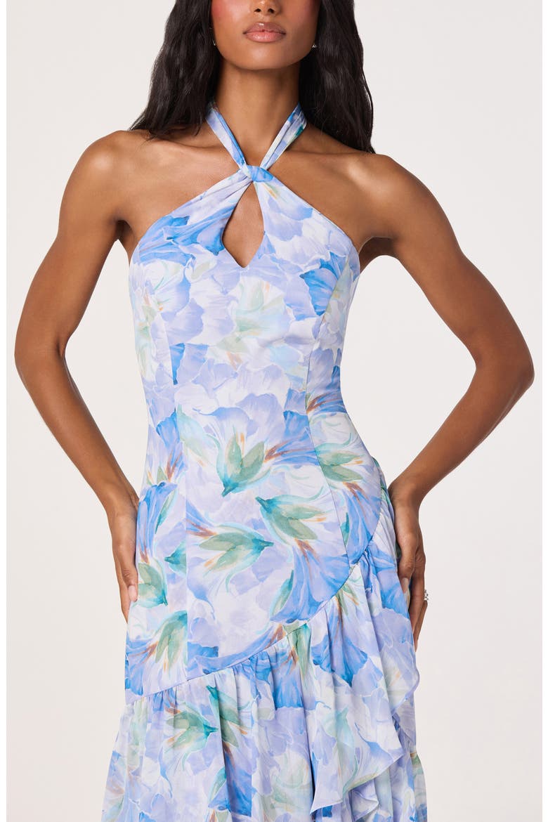 Bethina Floral Halter Neck High-Low Dress, Alternate, color, PURPLE FLORAL