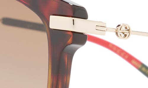 Gucci 56mm Square Sunglasses In Havana Gold Brown