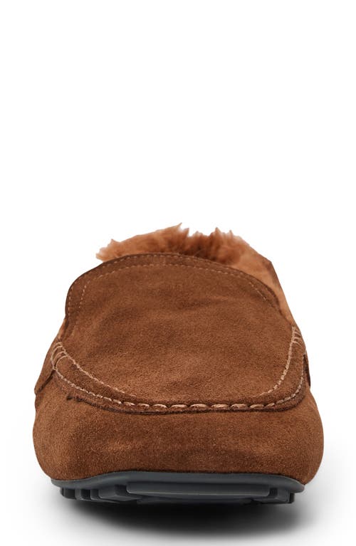 Aquatalia Qalista Weatherproof Faux Shearling Lined Driving Shoe In Brown