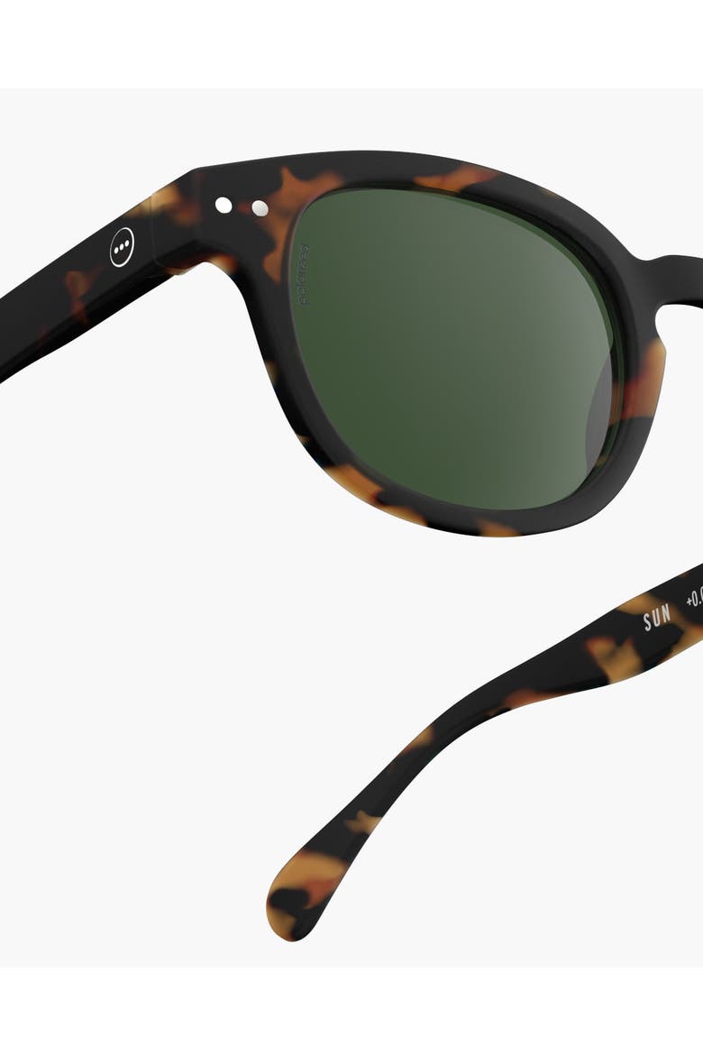 #C Tortoise, Alternate, color, Tortoise